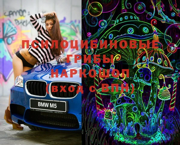 PSILOCYBIN Волосово