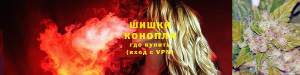 сатива Вязники