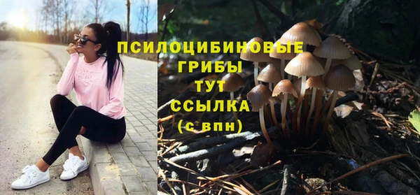 PSILOCYBIN Волосово