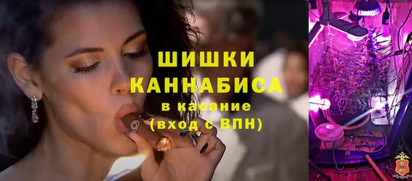 сатива Вязники